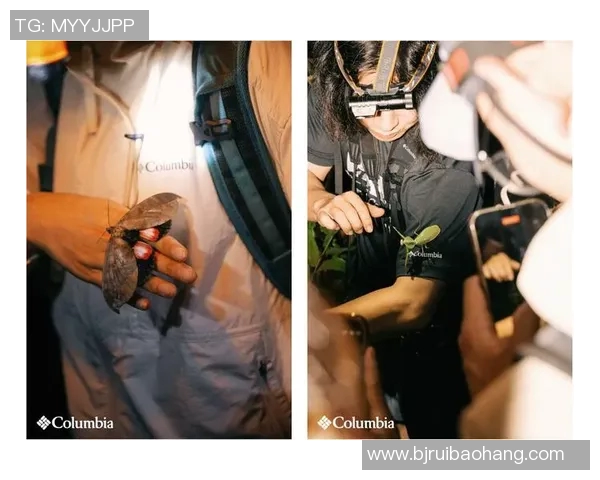 探索哥伦比亚户外品牌的独特魅力与创新设计之旅