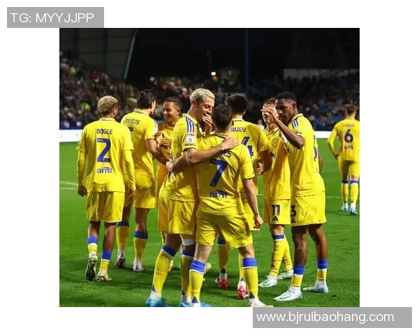 英冠积分榜最新动态分析及各队表现评估