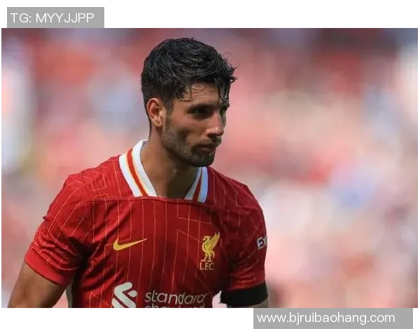 索博斯洛伊的魅力探秘与文化传承之旅 索博斯洛伊的魅力探秘与文化传承之旅